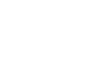 Google Premier Partner logo in white text on a black background.